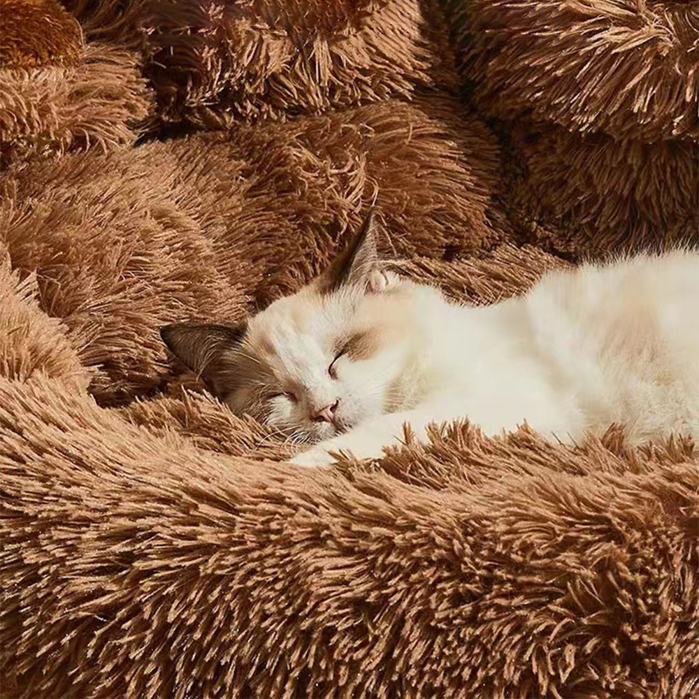 Cama mano de oso